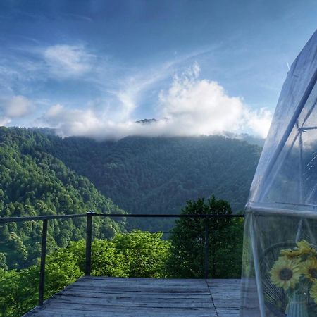 Hotel Mtirala Glamping Chakvistavi Exterior foto